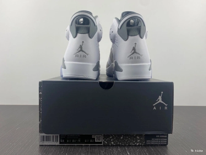 Reps TBK CT8529-100 Cool Jordan Grey Air 6 0709